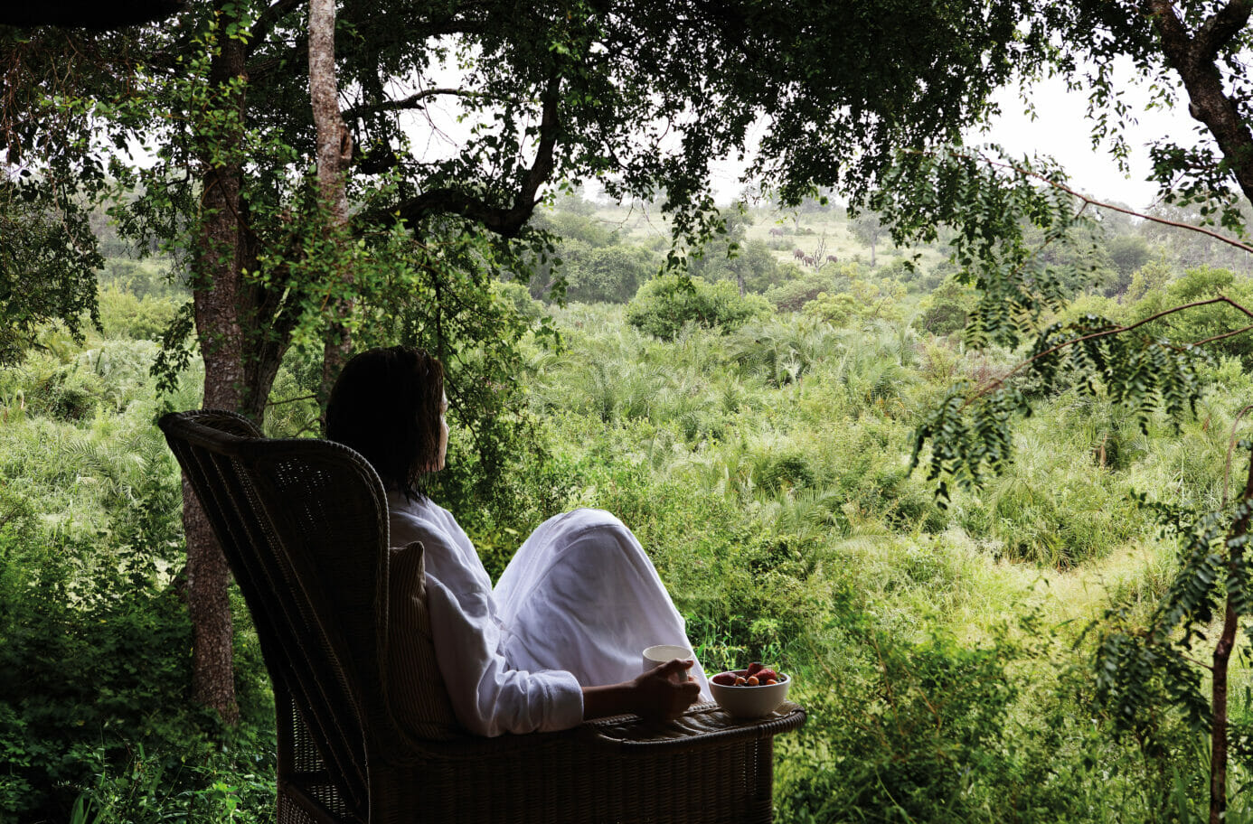 image banner